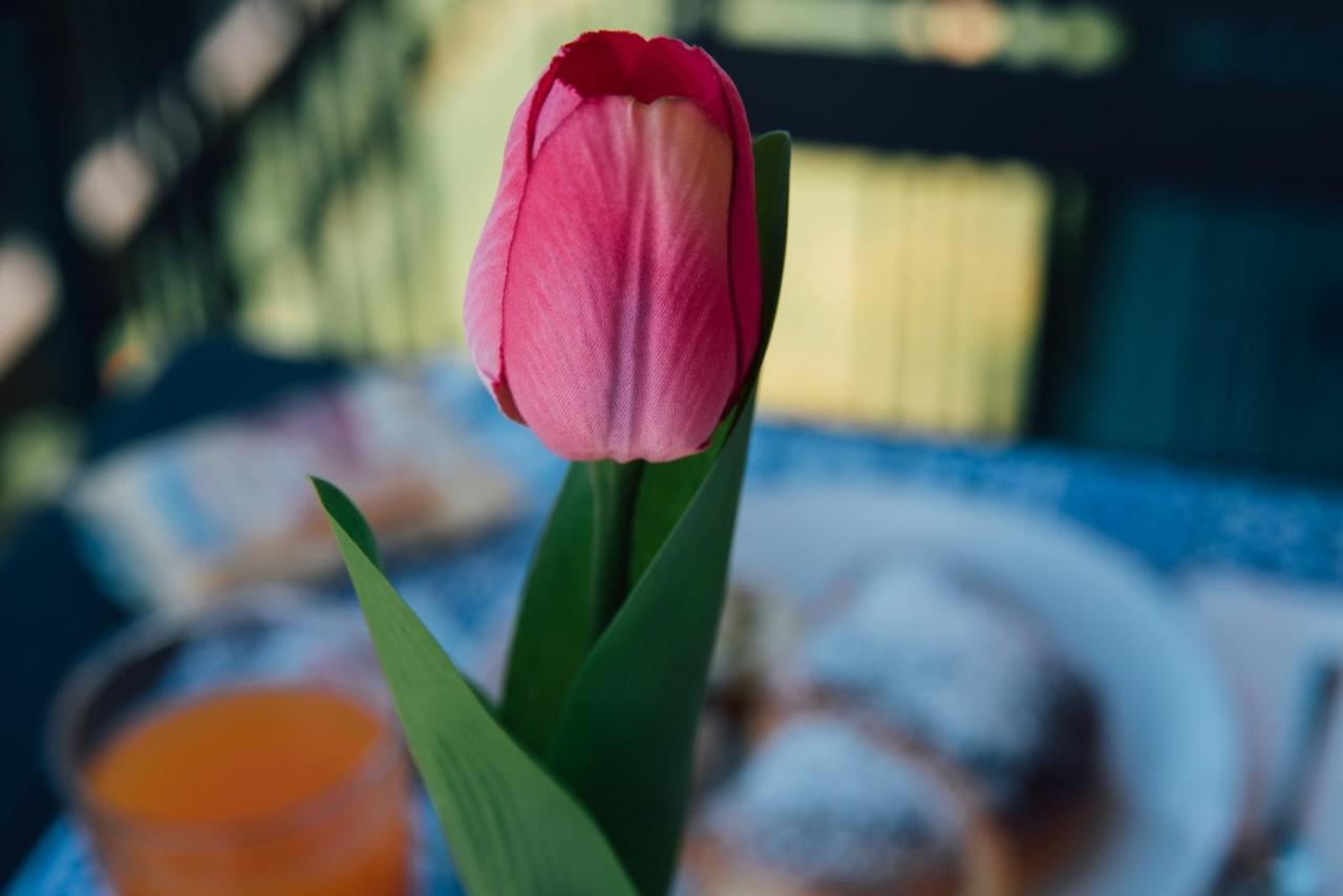 Bluviro Bed & Breakfast Bronte Bagian luar foto